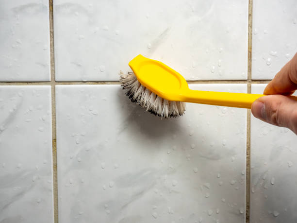 Best Affordable Mold Removal  in Crump, TN