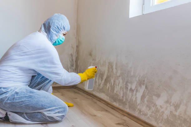 Best Commercial Mold Removal  in Crump, TN
