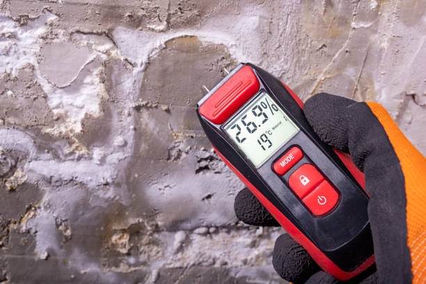 Best Emergency Mold Removal  in Crump, TN