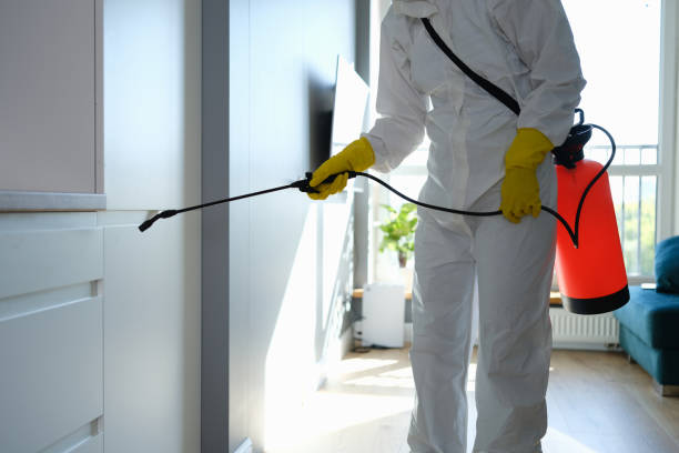 Best Fast Mold Removal  in Crump, TN